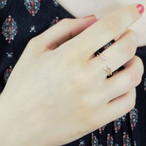 Adjustable Double Shank Ring with Beads in Sterling Silver